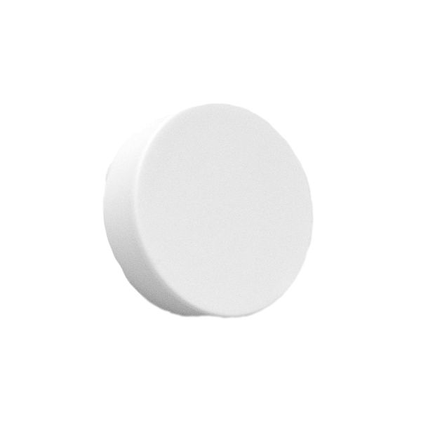 MagPaint Magnet Ø 37 mm white