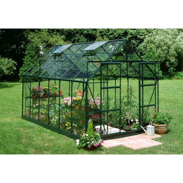 Halls Gewächshaus Magnum 128 Grün | 3 mm Blankglas
