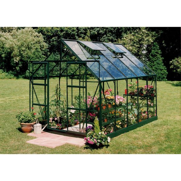 Halls Gewächshaus Magnum 108 Grün | 3 mm Blankglas