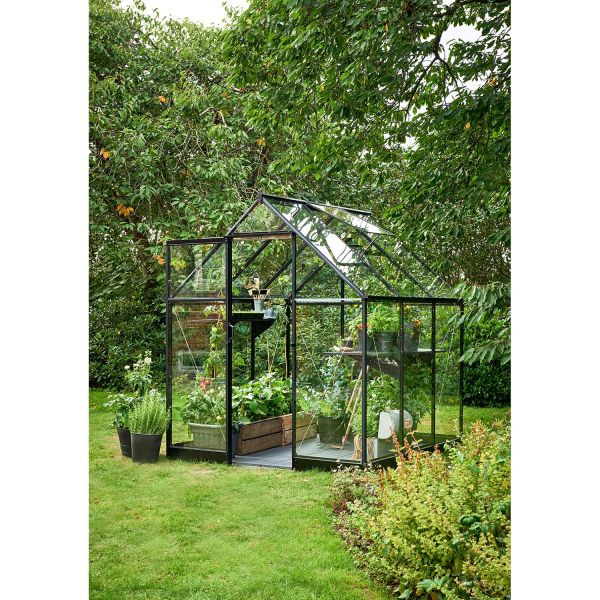 Halls Gewächshaus Qube 66 Schwarz | 3 mm Sicherheitsglas